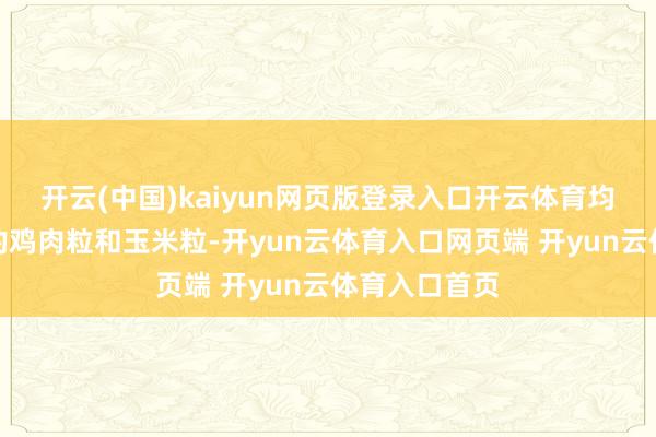 开云(中国)kaiyun网页版登录入口开云体育均匀撒上煎好的鸡肉粒和玉米粒-开yun云体育入口网页端 开yun云体育入口首页
