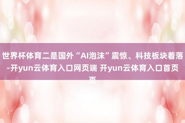 世界杯体育二是国外“AI泡沫”震惊、科技板块着落-开yun云体育入口网页端 开yun云体育入口首页